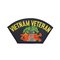Vietnam Veteran Cap Patch