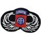 U.S. ARMY 82Nd Airborne AA Jump Wings Patch