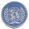 United Nations Patch