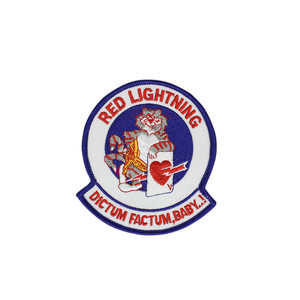 U.S. NAVY F-14 Tomcat VF-194 Red Lightning