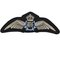 COMMANDO R.A.A.F WW2 Pilots Wings Patch