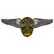 L.A. POLICE OFFICER with WINGS PATCH