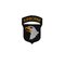 101ST AIRBORNE SCREAMING EAGLE PATCH