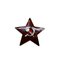 COMMANDO Soviet USSR Pilotka Cap Badge