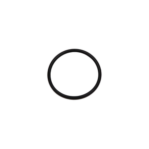 TAIL CAP O'RING post 2001 D