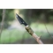 SONA Tanto Survival Knife with Flint
