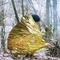 EMERGENCY BLANKET - GOLD