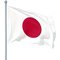 FLAG of JAPAN 5x3