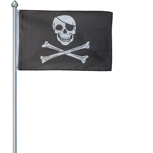 SKULL and BONES FLAG 2x3