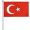 FLAG of TURKEY 5x3