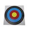 PAPER TARGET 21.5CM