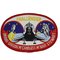 NASA CHALLENGER STS 41 B MISSION PATCH