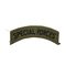 SPECIAL FORCES COMBAT TAB PATCH