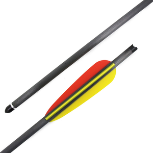 20in CARBON BOLT (6 PACK)