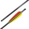 20in CARBON BOLT (6 PACK)