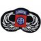 82nd AIRBORNE AA JUMP WINGS PATCH