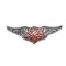 SMALL HARLEY LOGO with WINGS BADGE