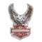 EAGLE BAR and SHIELD