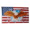USA with EAGLE FLAG 5x3