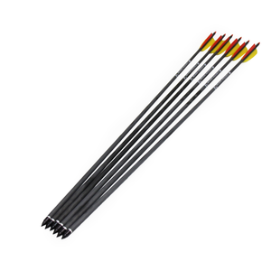 6 CARBON 30in ARROWS