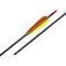 6 CARBON 30in ARROWS