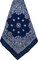 PAISLEY BANDANNA