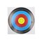 PAPER TARGET 215mm