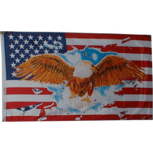 Usa With Eagle Flag (Large) 5'x3'