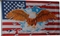 Usa With Eagle Flag (Large) 5'x3'
