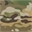 MULTICAM